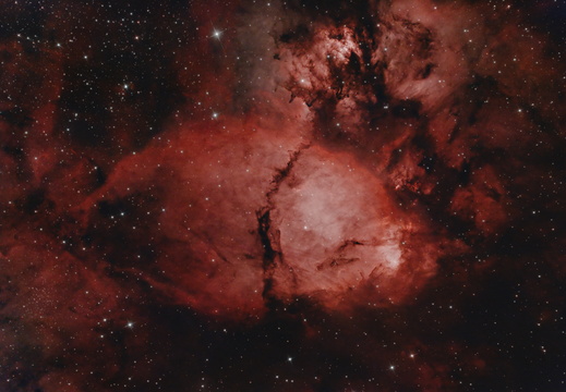 IC 1795 - Fishhead Nebula