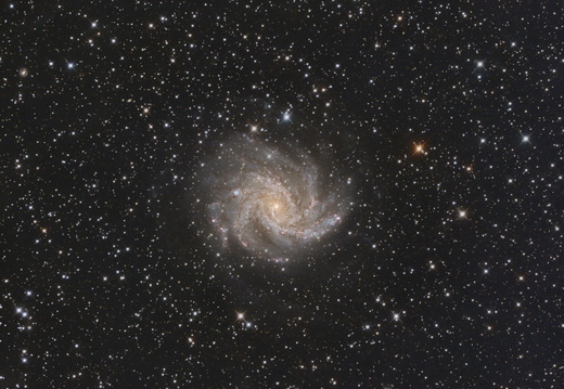 NGC 6946 - Feuerwerksgalaxie