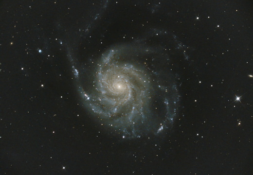M 101 mit Supernova SN2023ixf