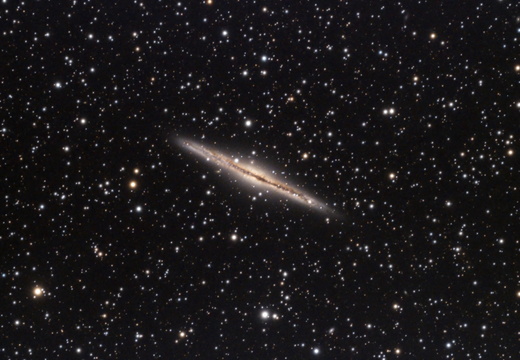 NGC 891 - Silver Sliver Galaxy