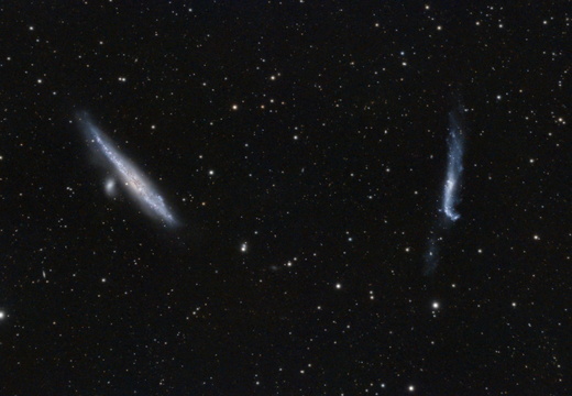 NGC 4631 + NGC 4656 - Wal- und Hockeyschläger Galaxie