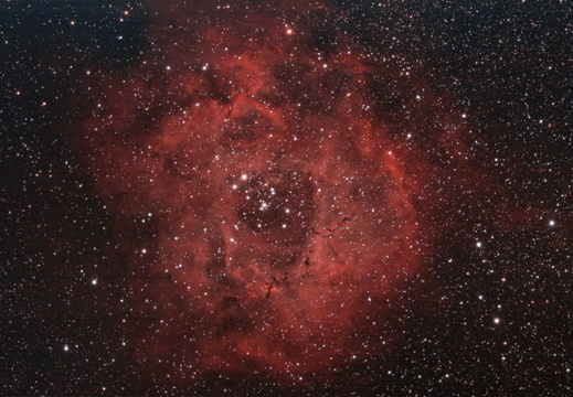 NGC 2244 - Rosettennebel