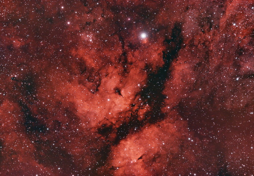 IC 1318 - Schmetterlingsnebel Sadr Region