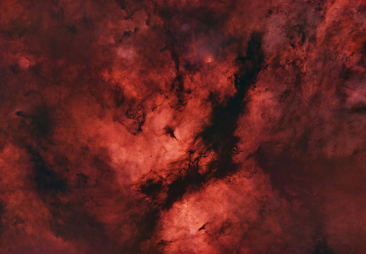 IC 1318 - Schmetterlingsnebel Sadr Region - starless