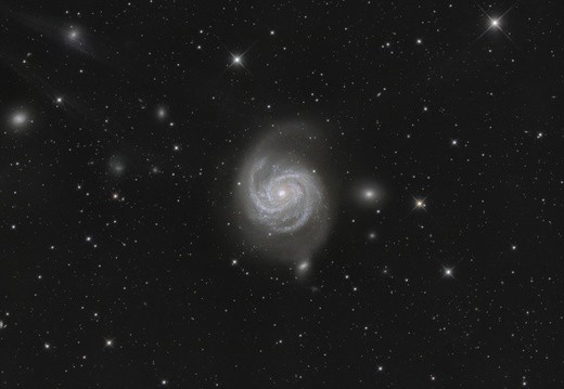 M 100 - Mirror Galaxy